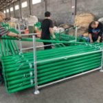 Green Scaffold Props Packing
