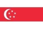TSX Scaffolding Pipe To Singapore